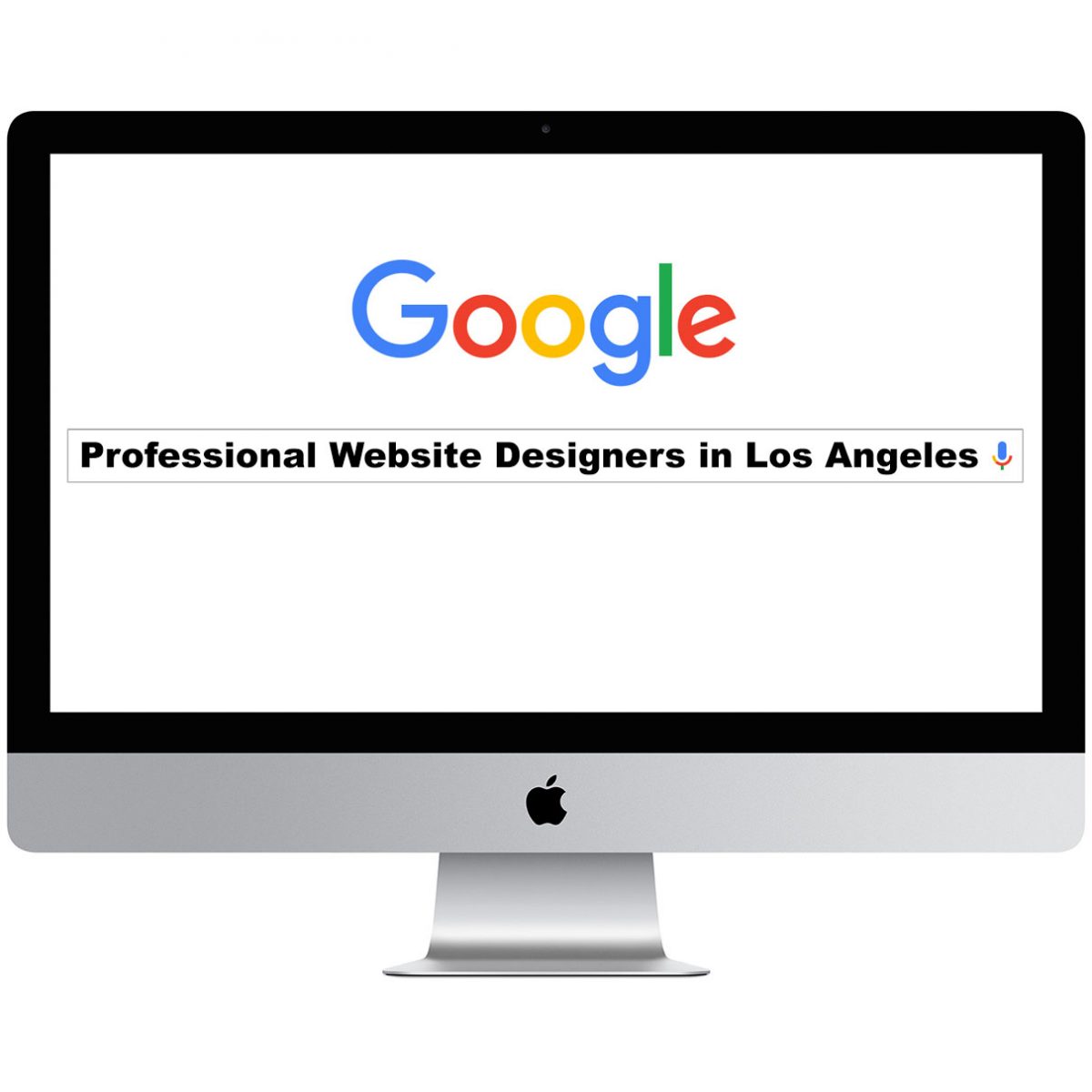 Professional Website Designers in Los Angeles